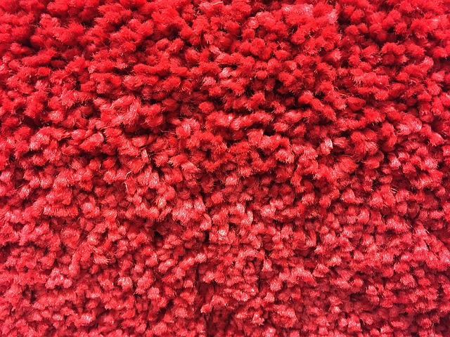 červený koberec